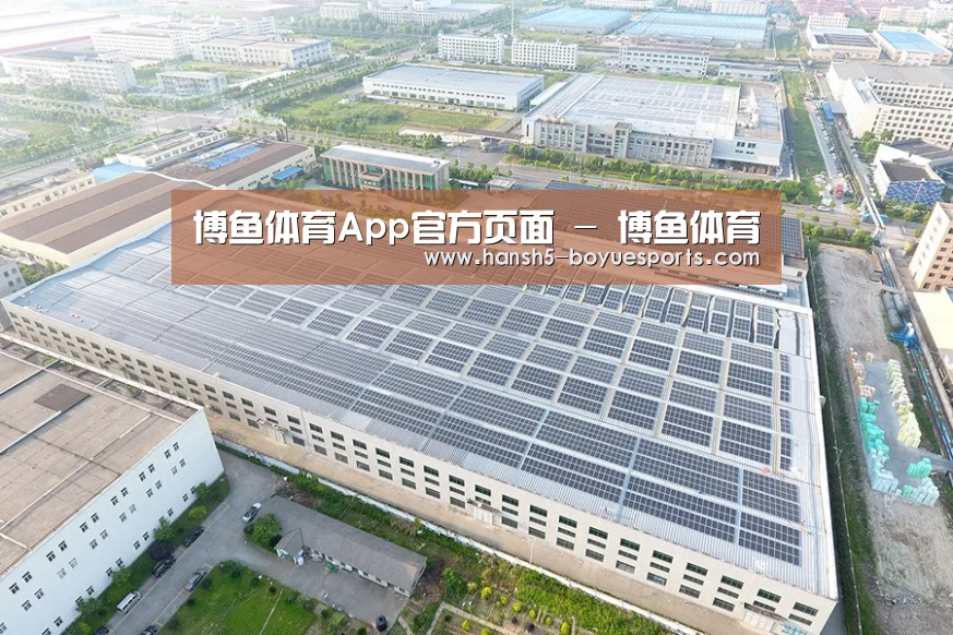 案例展示一