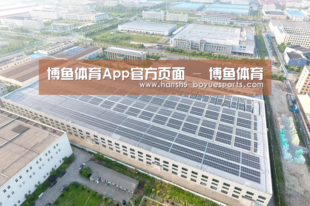 案例展示二