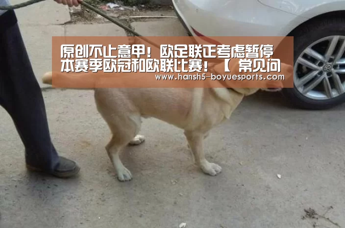 原创不止意甲!欧足联正考虑暂停本赛季欧冠和欧联比赛!【 常见问题+官方客服支持】(图3) 博鱼体育帮助中心