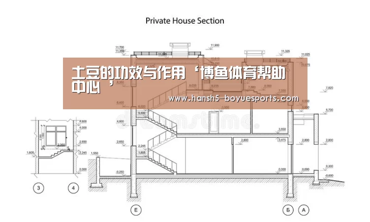 土豆的功效与作用‘博鱼体育帮助中心 ’(图2) 博鱼体育帮助中心