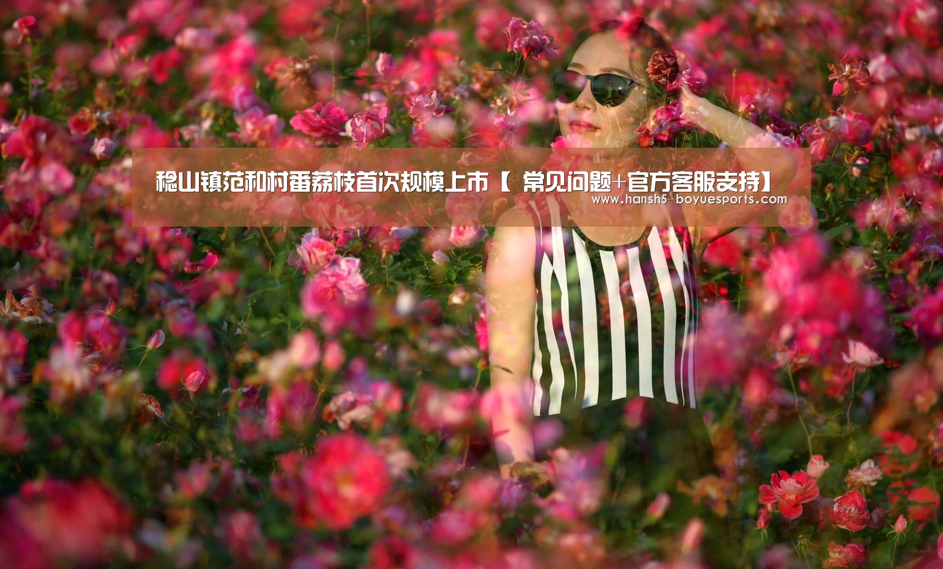稔山镇范和村番荔枝首次规模上市【 常见问题+官方客服支持】(图2) 常见问题+官方客服支持