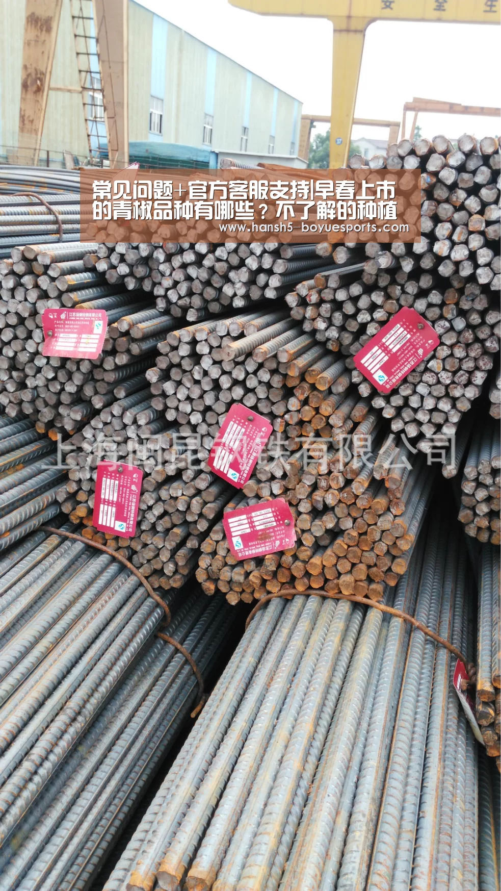 常见问题+官方客服支持|早春上市的青椒品种有哪些?不了解的种植户朋友赶紧看过来!(图2) 博鱼体育帮助中心