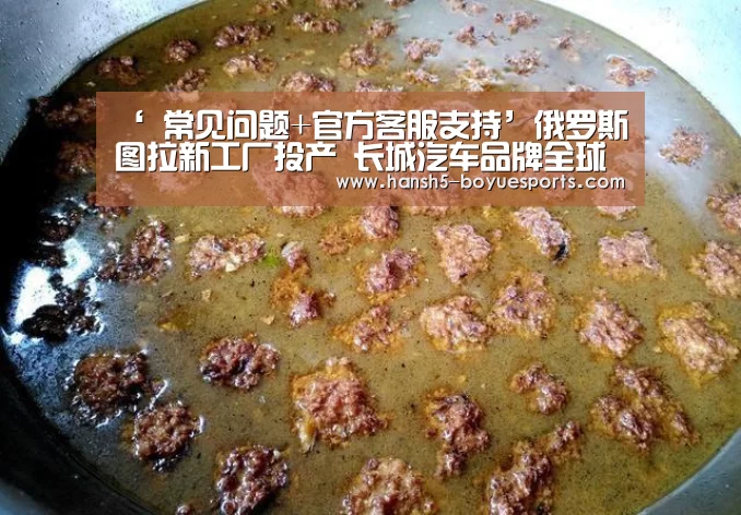 ‘ 常见问题+官方客服支持’俄罗斯图拉新工厂投产 长城汽车品牌全球化加速(图3) 博鱼体育帮助中心